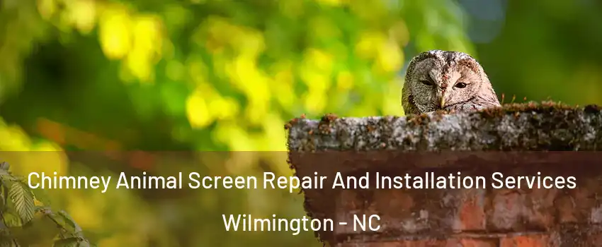 Chimney Animal Screen Repair And Installation Services Wilmington - NC