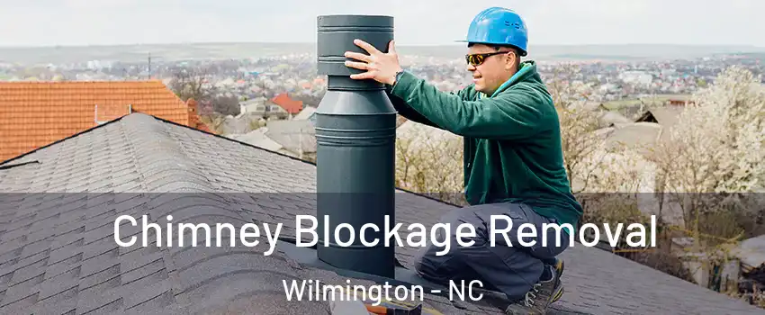 Chimney Blockage Removal Wilmington - NC