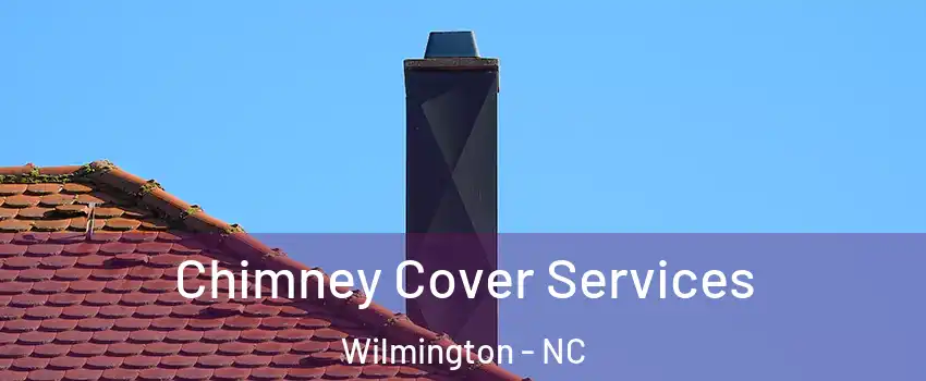 Chimney Cover Services Wilmington - NC