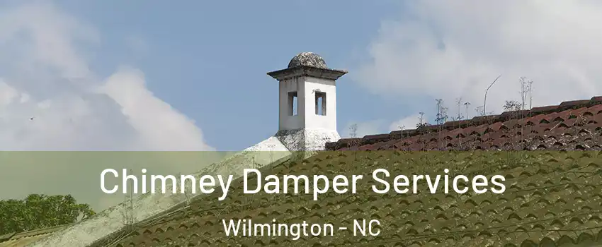 Chimney Damper Services Wilmington - NC