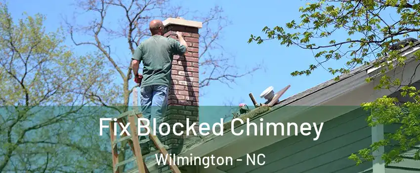 Fix Blocked Chimney Wilmington - NC