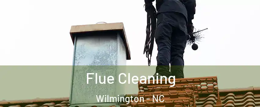 Flue Cleaning Wilmington - NC