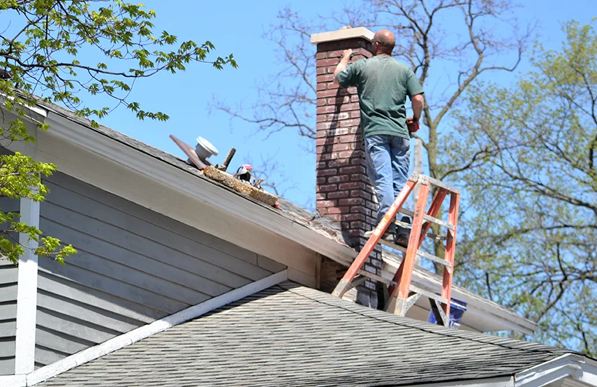 Chimney & Fireplace Inspections Services in Wilmington, NC