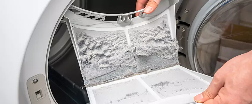 Best Dryer Lint Removal Company in Wilmington, North Carolina