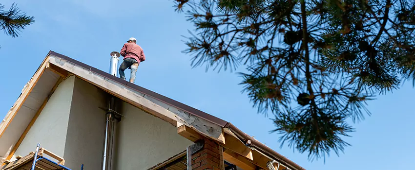 Birds Removal Contractors from Chimney in Wilmington, NC