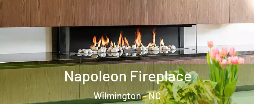 Napoleon Fireplace Wilmington - NC